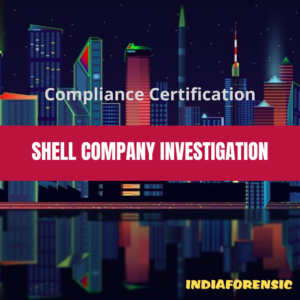 shell company investigation